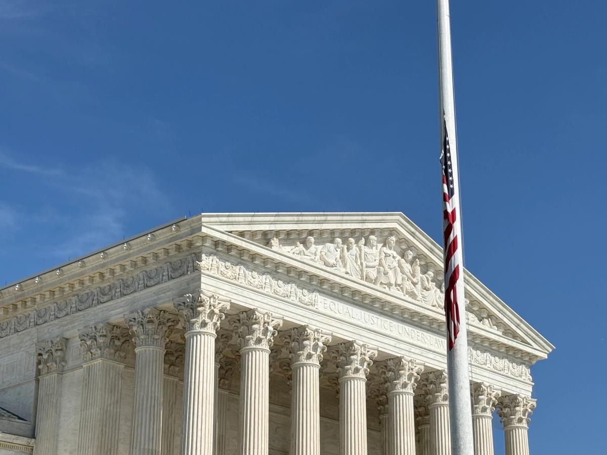The “born free and equal” clauses and the right to pursue a profession of one’s choice
